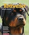 Training Your Rot...