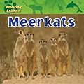 Meerkats