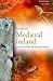Medieval Ireland: Territorial, Political and Economic Divisions