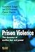 Prison Violence: The Dynamics of Conflict, Fear and Power