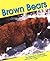 Brown Bears