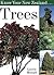 Know Your New Zealand Trees