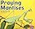 Praying Mantises by Margaret C. Hall