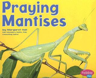 Praying Mantises (Pebble Plus: Bugs, Bugs, Bugs)