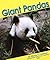 Giant Pandas