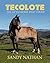 Tecolote: The Little Horse ...