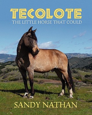 Tecolote: The Little Horse That Could (Paperback)
