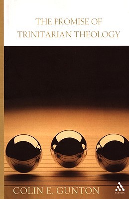 The Promise of Trinitarian Theology (Paperback)