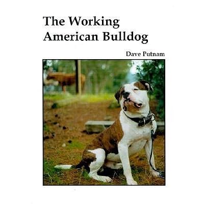 working bulldog