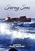 Stormy Seas