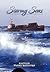 Stormy Seas by Wayne Raybourn