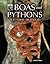 Boas and Pythons of the World