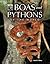 Boas and Pythons of the World by Mark O'Shea
