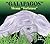Galapagos Means Tortoises