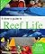 A Diver's Guide to Reef Life by Andrea     Ferrari