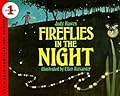 Fireflies in the Night