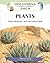 Plants: Food, Medicine, and the Green Earth (Discovering the Earth)