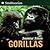 Gorillas