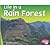Life in a Rain Forest (Pebble Plus)