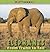 Elephants: From Trunk to Tail (Mighty Mammals)