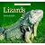 Lizards
