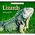 Lizards (Perfect Pets)