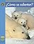 ¿Cómo se Calientan? / Keeping Warm (Yellow Umbrella Books: Science ~ Spanish)