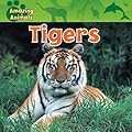 Tigers