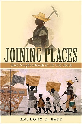 Joining Places: Slave Neighborhoods in the Old South (The John Hope Franklin Series in African American History and Culture)