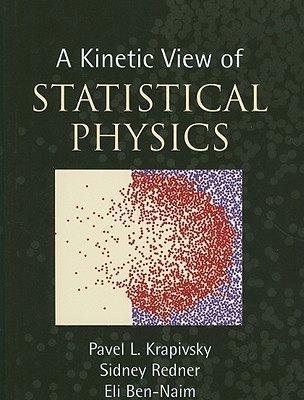 A Kinetic View of Statistical Physics (Hardcover)