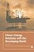 China's Energy Relations with the Developing World