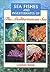 Sea Fishes and Invertebrates of the Mediterranean