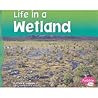 Life in a Wetland
