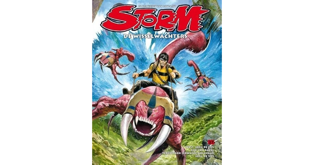 storm de wisselwachter