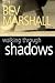 Walking Through Shadows