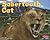 Sabertooth Cat (Pebble Plus: Dinosaurs and Prehistoric Animals)