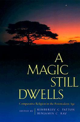 A Magic Still Dwells: Comparative Religion in the Postmodern Age (Paperback)