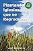 Plantando Iglesias Que Se Reproducen (Spanish Edition)
