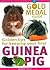 Guinea Pig: Gold Medal Guide - Everything you need to choose and keep a healthy, happy Guinea Pig
