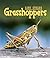 Grasshoppers (First Step Nonfiction: Animal Life Cycles)