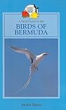 A Field Guide to the Birds of Bermuda (Caribbean Pocket Natural History)