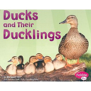 Ducks and Their Ducklings (Pebble Plus)