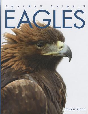 Eagles (Amazing Animals)