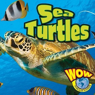 Sea Turtles (World of Wonder)