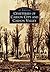 Cemeteries of Carson City and Carson Valley (Images of America: Nevada)