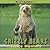Grizzly Bears: Fierce Hunters (Mighty Mammals)