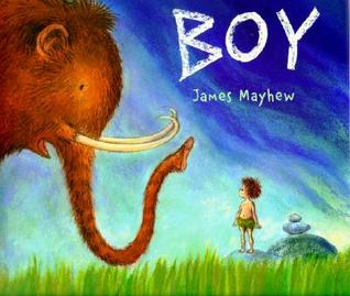 Boy (Hardcover)