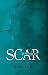 Scar Revision