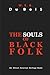 The Souls of Black Folk by W.E.B. Du Bois