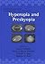Hyperopia and Presbyopia (Refractive Surgery, 2)